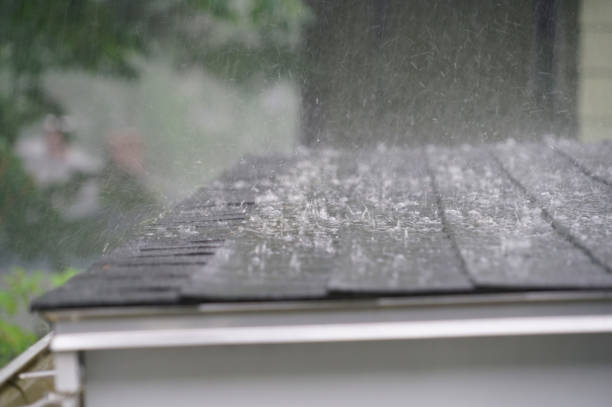 Best Cold Roofs  in Bothell, WA