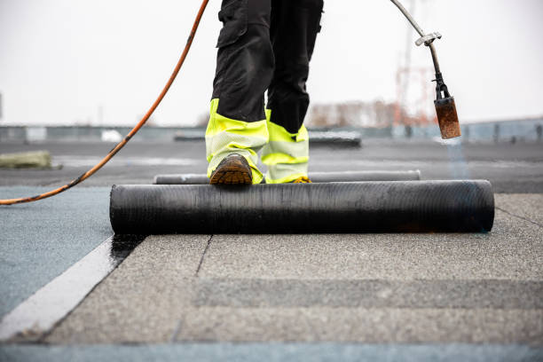 Best Roof Moss and Algae Removal  in Bothell, WA